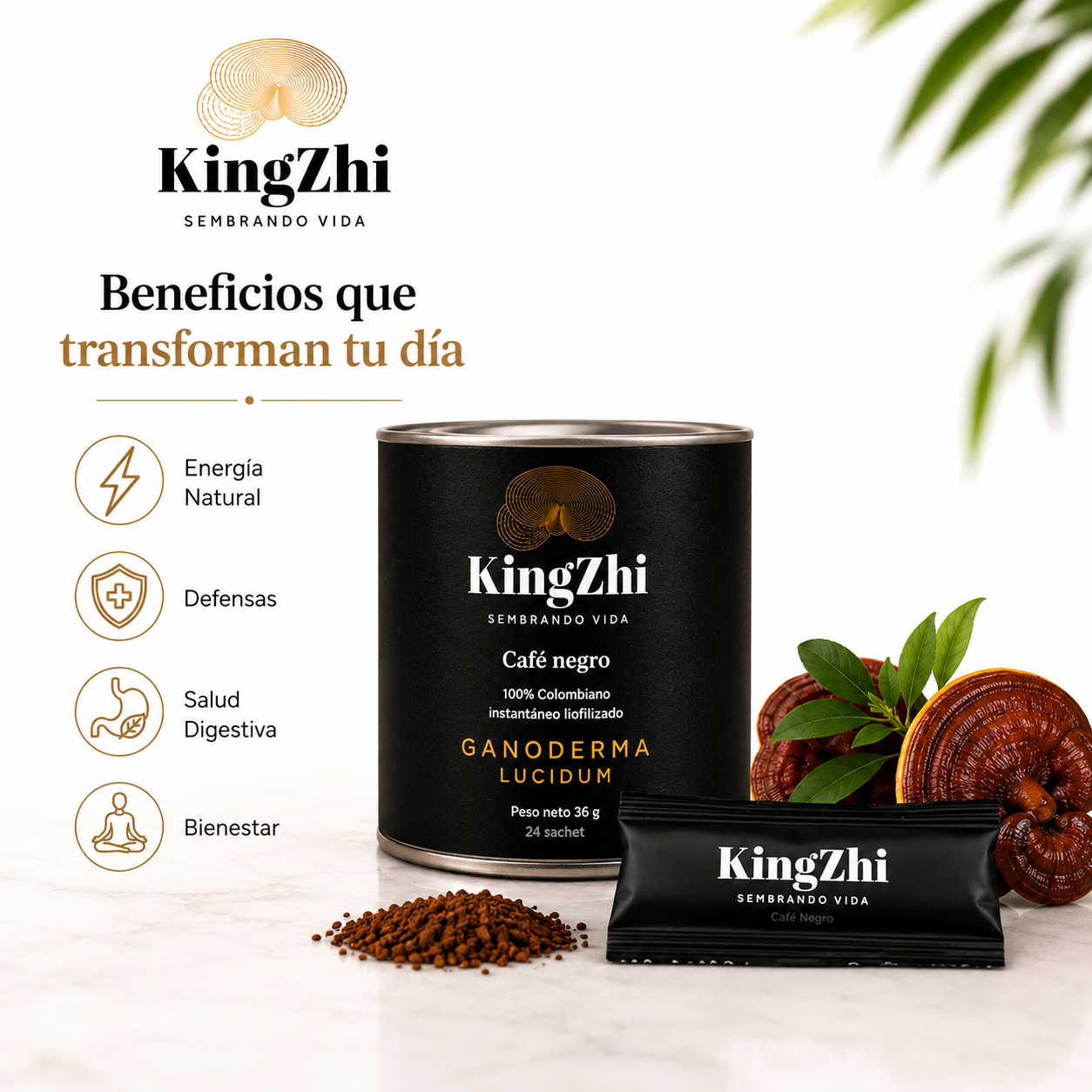 Café Negro Ganoderma Lucidum Premium Tipo Exportación Colombiano | Tarro 24 Sachets (36 g) | Café Liofilizado Premium - Imagen 2